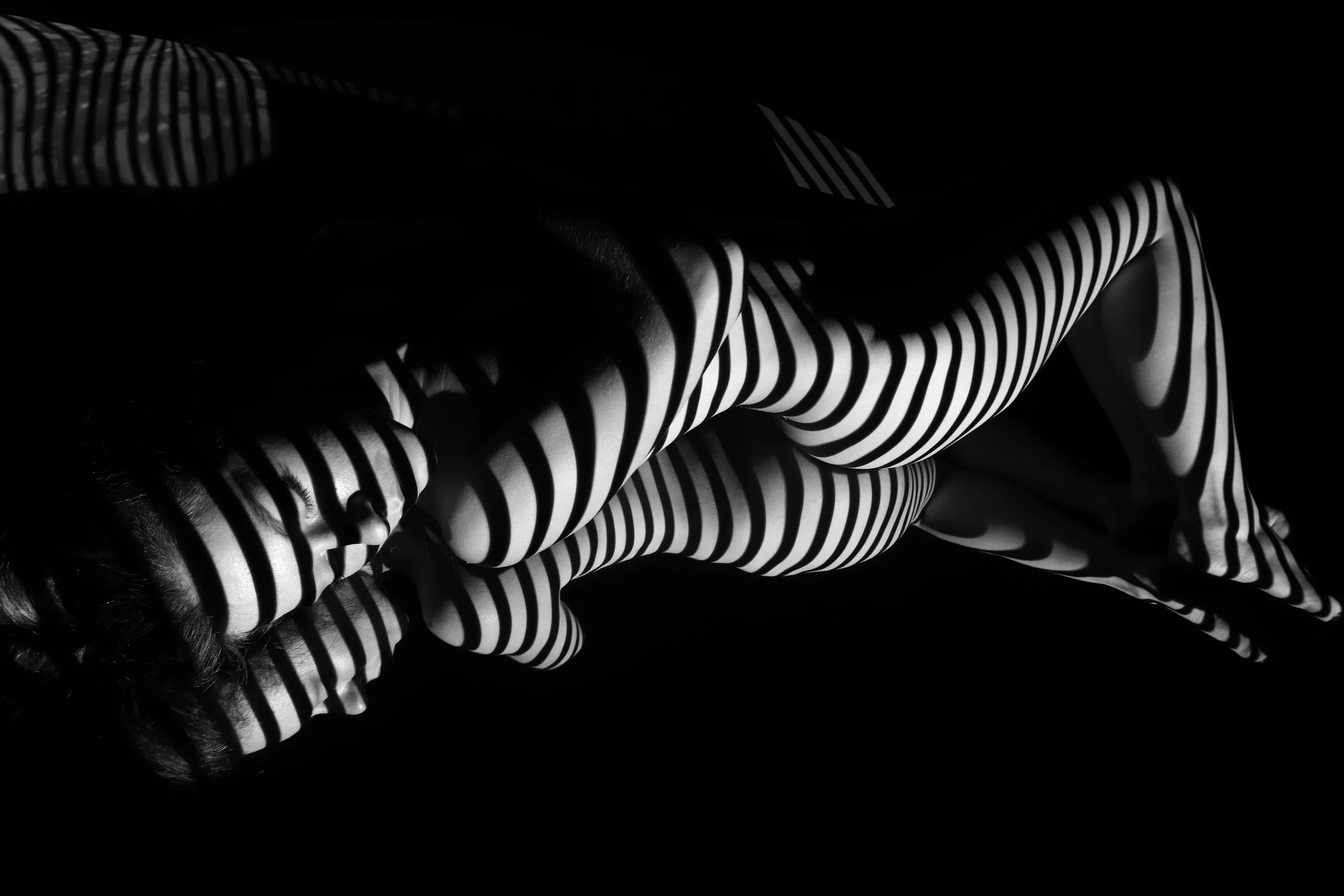The Tigress